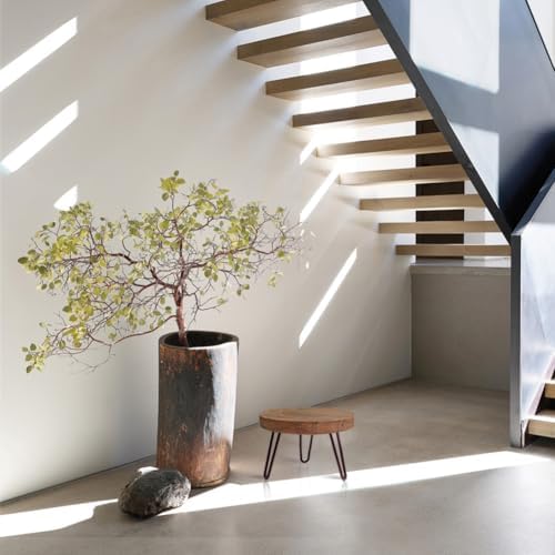 OBTAIN Plant Stand Indoor Outdoor Wood Mid Century Plant Stand for Indoor Plants, Modern Plant Table Round Plant Stool, Boho Rustic Wooden Stool for Plant Pot Hol (L)