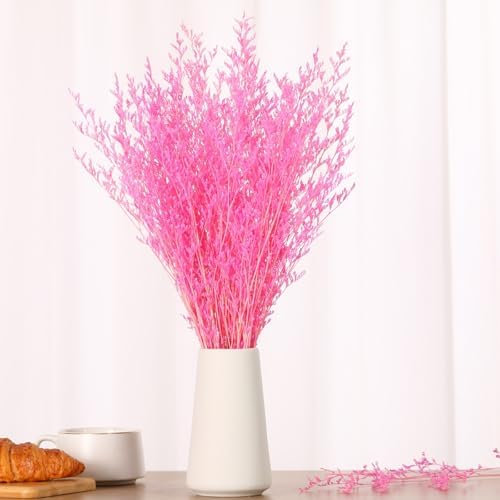 Dried Flower Bouquet, 17'' Dry Pink Caspia Flowers Bundle for Vase Decor