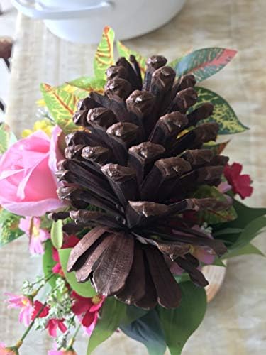 DKKRRNT PineCones Tall Bulk Package All Natural,Real Preserved Pine Cones Big Pinecones and Perfect Natural Pine Cones for Christmas Hanging Ornaments Bowl Vase Fillers (4.3-5.9 in(12pcs))