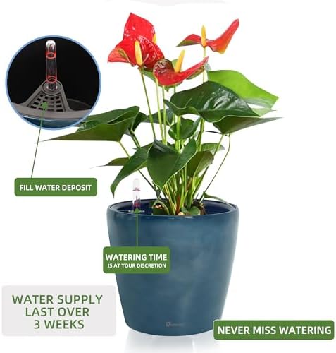 Dexceder 9x8 Self Watering Planter (Grayish Green Gradient)