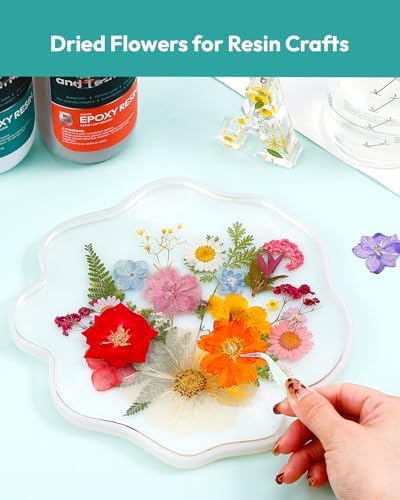 Resiners 100Pcs Dried Flowers, Pressed Flowers for Craft(Retro Style)