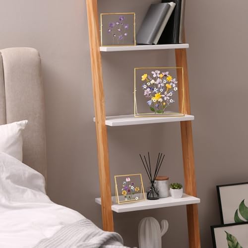 REDHUGO Double Glass Frame for Pressed Flowers, Square, Gold, 10x10 Inches