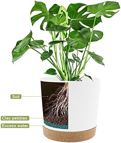 QCQHDU 6.5 inch Plant Pot, 2 Pack Planters for Indoor Plants with Drainage Holes & Saucer, Outdoor Flower Pots Home Garden Modern Decor