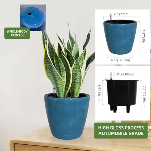 Dexceder 9x8 Self Watering Planter (Peacock Blue Gradient)