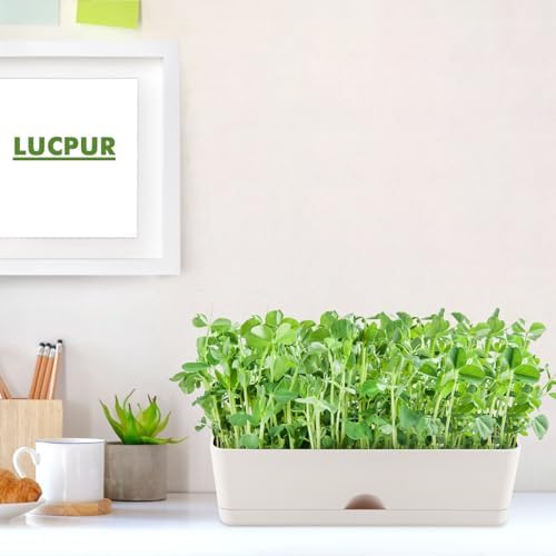 2-Pack Flower Pots Large Window Boxes Planters 16 Inch Rectangle Plant Pot Rectangular Planters for Outdoor Indoor Plants Plastic Windowsill Planter for Herbs Flowers Long Window Sill Planters