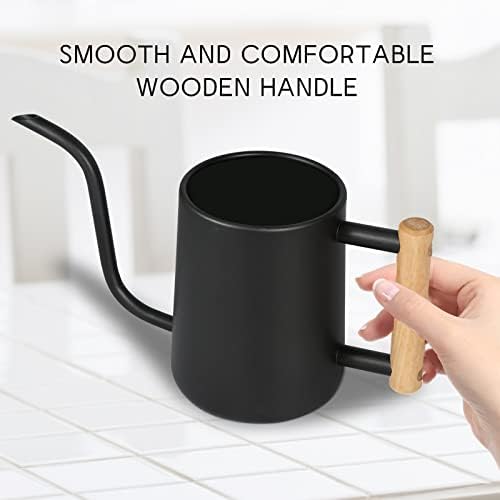 Watering Can for Indoor Plants, 35 oz/1000 ml Metal Stainless Steel Pot with Long Spout for House Plants Bonsai Outdoor Garden Flower Decorative (Black)