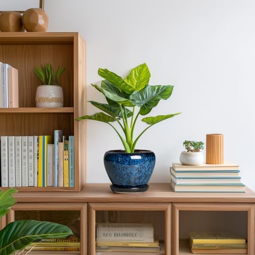6 Inch Plant Pot - Ceramic Pots for Plants with Drainage Hole and Saucer, Round Succulent Planter Indoor Outdoor, Modern Flower Pot for Snake Plants, Home Decor, Gifts for Plant Lover, Blue