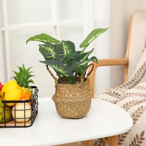 Qunclay 8 Pcs Woven Seagrass Baskets Belly Basket, Xs,7.9''dx6.3''h