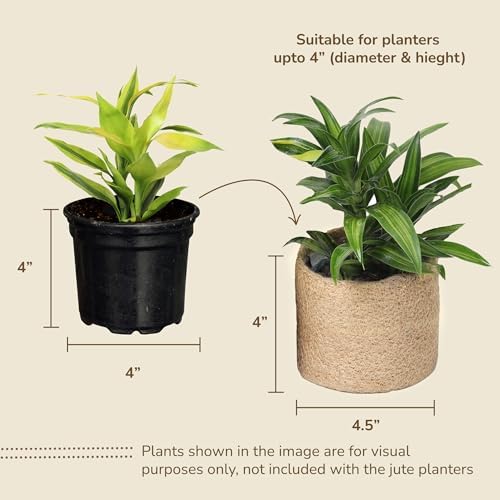 Jute Small Plant Pots Set of 3, 4.5 inches, Natural Jute