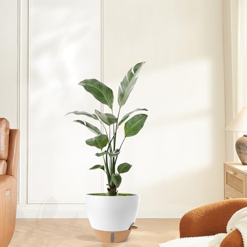 Self Watering Pots for Indoor Plants 12/10/9/8 Inch Plastic with Reservoir