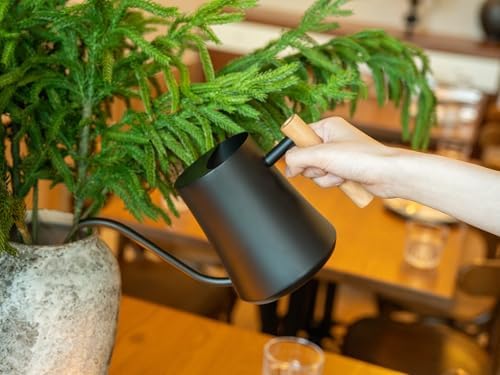Green Moon 1L/35oz Metal Watering Can Indoor with Long Spout, Black
