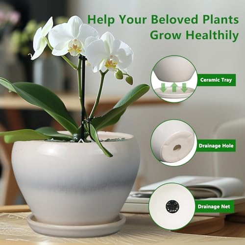 Ceramicfor 10 Inch Ceramic Planter Pot, Cream White