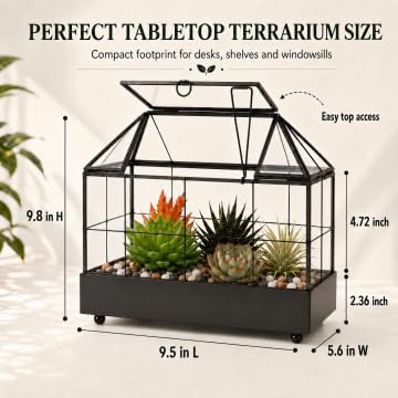 Large Tall Plant Terrarium Glass – Glass Greenhouse Terrarium with Lid and Tray,Indoor Tabletop Orchid Succulent Cacti