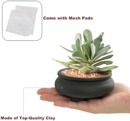 Bonsai Planter 2 pc 3.7" + 3.9" Unglazed Round Ceramic Succulent Pots Set
