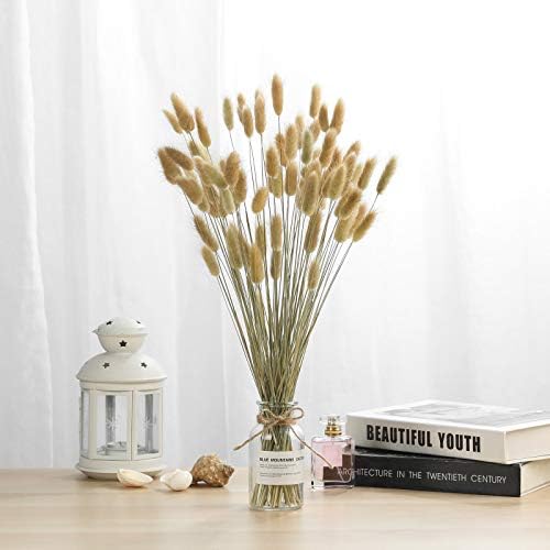 Natural Dried Bunny Tail Grass - 110~120 Stems Lagurus Ovatus for Boho Decor, Dried Pampas Grass Flower Arrangements Wedding Home Kitchen Office Decor