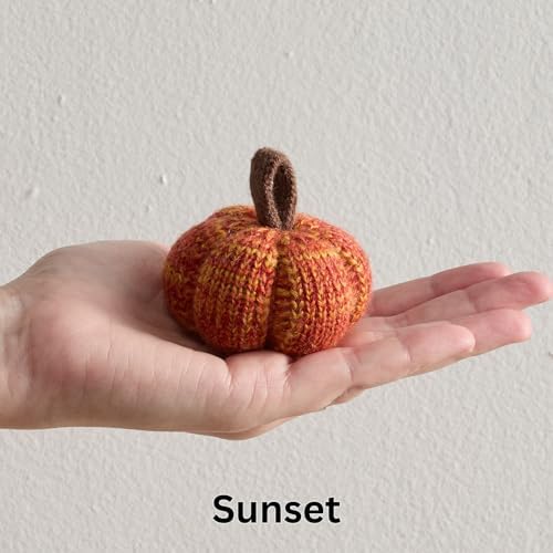 Set of 12 Cozy Mini Knit Orange Pumpkins (Sunset Full Set)