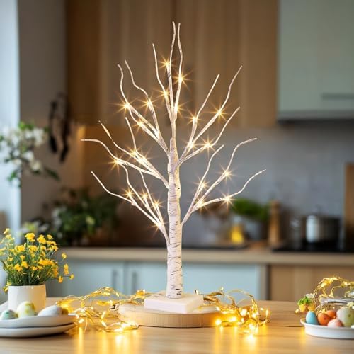 EAMBRITE Lighted Birch Tree Christmas Decorations for Home, White Birch Tree with Lights, 24 LED Lighted Mini Money Tree Twig Tree Battery Operated with Timer, Indoor Table Centerpiece Decor (2FT)