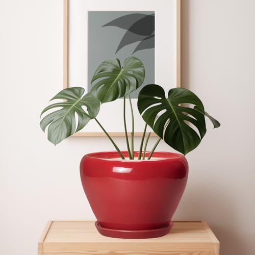 Ceramicfor 10 Inch Plant Pot, Ceramic Planter for Indoor Plants, Glossy Red