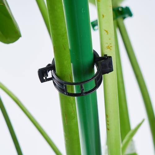 300Pcs Garden Vine Plant Support Clips,Plastic Fixing Clips for Securing and Training Climbing Plants,Tomatoes,Grapes,Vine Vegetables and Potted Plant (300, Black)