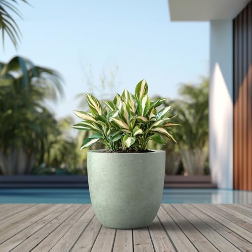 Kante Large Round Bowl Mint Green Concrete Planter 18" Dia, Outdoor
