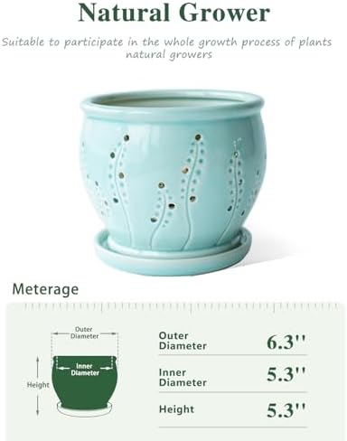 Orchid Pot 6.3 Inch, Orchid Pots with Holes & Saucer, Orchid Pot for Repotting, Beatiful Ice Cracked Glaze Ceramic Plant Pot Indoor Planter, Breathable Slotted Orchids Planter(Water Blue)