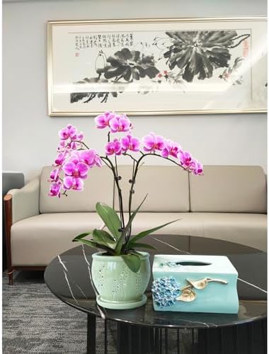 Ceramic Orchid Pot 6.3 Inch, Orchid Pots with Holes, Large Plant Pot for Repotting, Ventilation Holes Breathable for Roots, Durable Ice-Cracked Glaze Ceramic Planter Pot (Grass Green)
