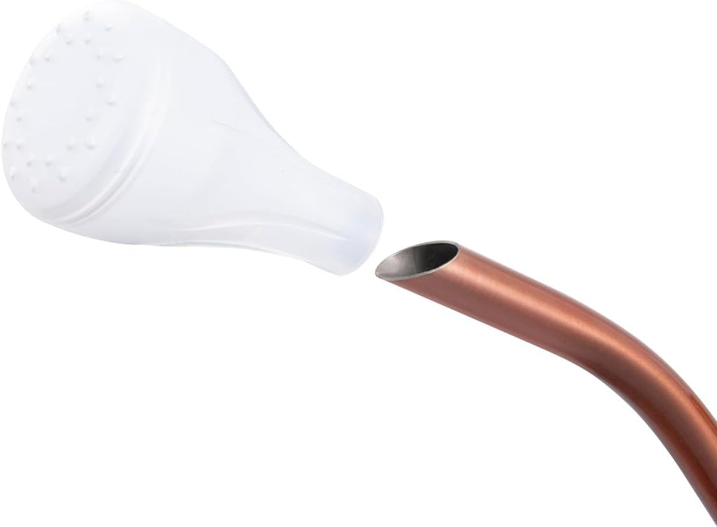 68oz Bronze Stainless Steel Watering Can, Hummingbird Pattern & 2 Sprayers