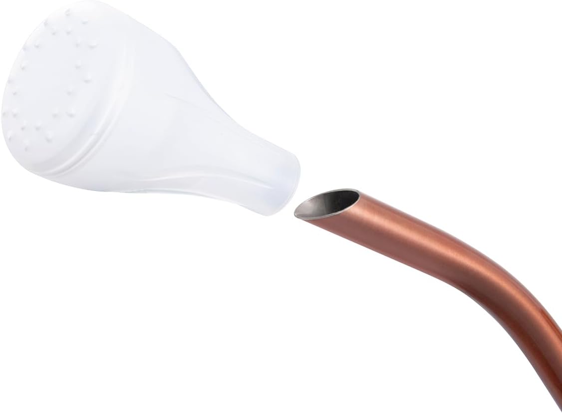 68oz Bronze Stainless Steel Watering Can, Hummingbird Pattern & 2 Sprayers