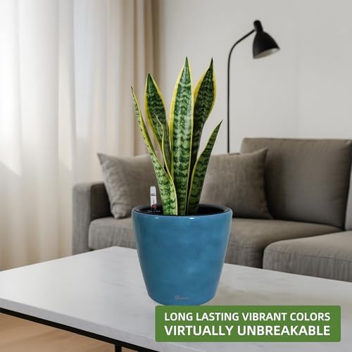Dexceder 9x8 Self Watering Planter (Peacock Blue Gradient)