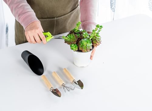 Josteve 5Pcs Succulent Tools Mini Garden Small Gardening Tools Indoor, Pruning Shear Gardening Scissors, Hand kit for Bonsai, Cactus, Fairy, Houseplant of Transplanting, Repotting, Seedling Soil
