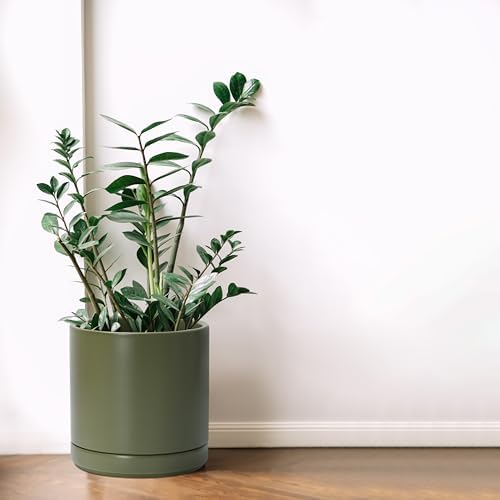 D'vine Dev 8.2 Inch Ceramic Planter Pot, Olive, 94-O-D-J
