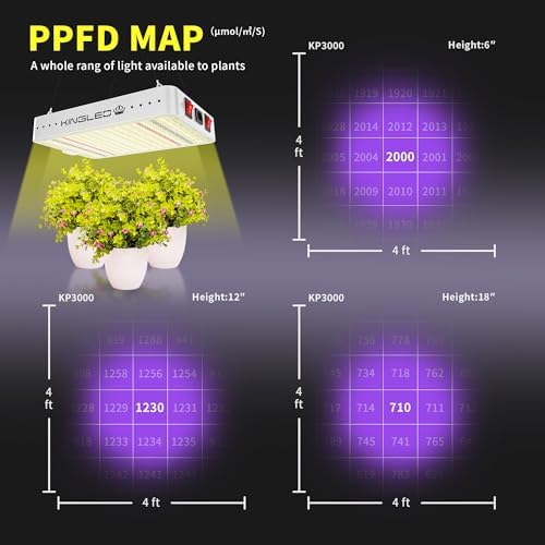KingLED KP3000 Grow Light for Indoor Plants, Full Spectrum Plant Grow Light