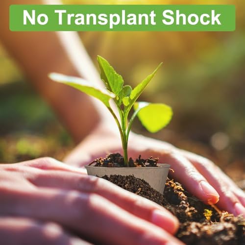 30 Pack Peat Pots, 3.1 Inch Seed Starting Pots, No Drainage Holes