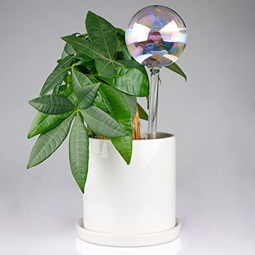 Tomorotec 4Pcs Rainbow Glass Plant Watering Globes, Self Watering Spikes