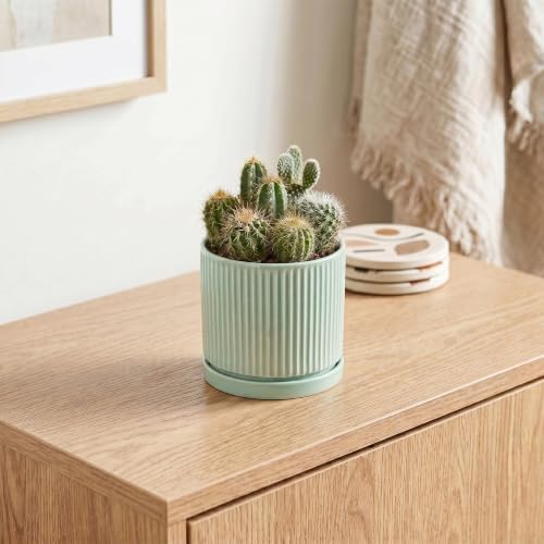 Ceramic Plant Pots, 4 Inch Pots for Plants with Tray, Mint Green