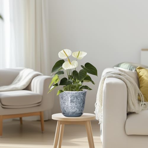Ceramic Planter, 6 Inch Plant Pot for Indoor Plants, Grey