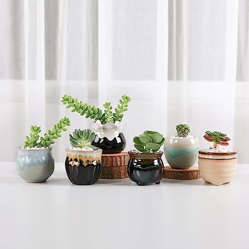 T4U Mini Ceramic Succulent Pots, Small Gift Planters, Retro Decor Set of 6