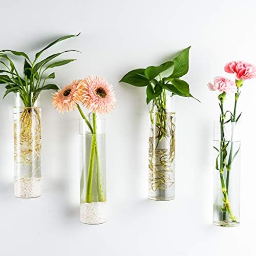 Kingbuy Wall-Mounted Plant Terrarium Propagation Station - 4 Cylinder Hanging Glass Tubes Planter for Hydroponic Plants, Indoor Wall Vases & Decorative Plant Holder Bathroom Office Living Room Decor