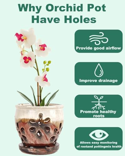 vensovo 5 Inch Ceramic Orchid Pots with Holes and Saucers - 1 Pcs Small Succulent Pot for Repotting, Garden Flowerpots for Plants Indoor and Outdoor Promotes Air Circulation, Brown Mixed
