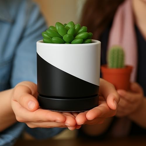 D'vine Dev 3.5 Inch Ceramic Planter Pot, Black White Diagonal, 94-O-A-K