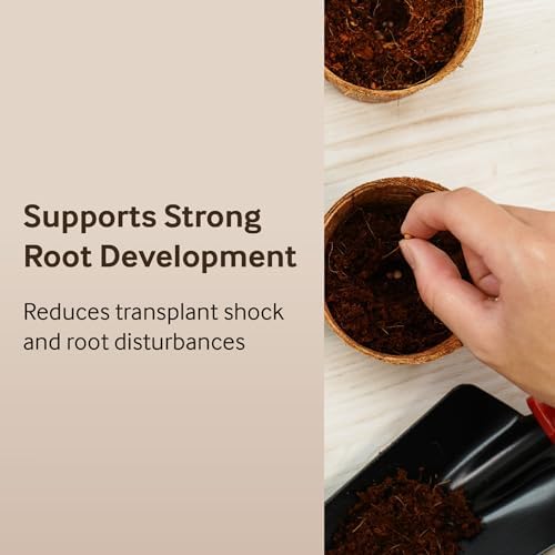PlantBest 3 Inch Coconut Coir Biodegradable Pots - 22-Pack