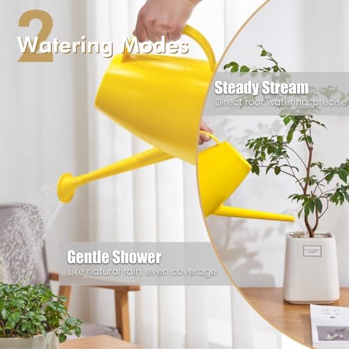 60 oz Watering Can, Watering Can Indoor Plants, Long Spout Small Water Can