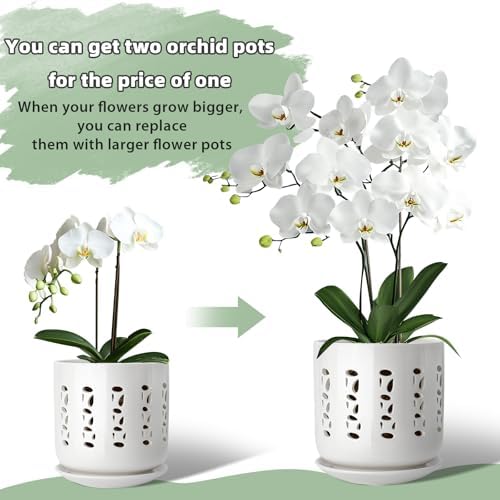 BUYMAX Ceramic Orchid Pots with Holes Orchid Root Care Set of 2 Flower Pot