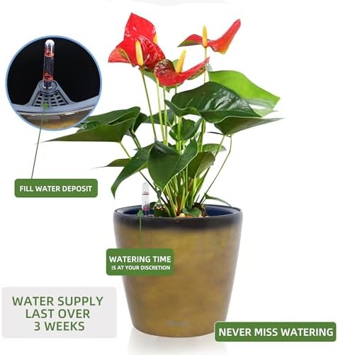 Dexceder 9x8 Self Watering Planter (Yellow Brown Gradient)