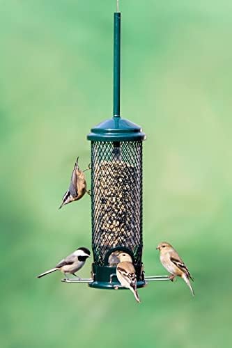 Squirrel Buster Mini Squirrel-Proof Bird Feeder for Wild Birds – 4 Metal Perches, 1 lb Seed Capacity, Chew-Proof Design, Lifetime Care, Garden Green