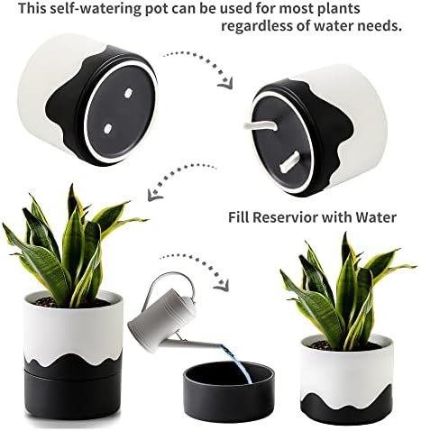 Nihow Ceramic Self Watering Plant Pot for Indoor Plants,6 Inch,White Black