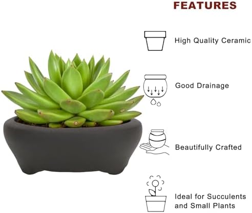 Bonsai Planter 2 pc 3.7" + 3.9" Unglazed Round Ceramic Succulent Pots Set