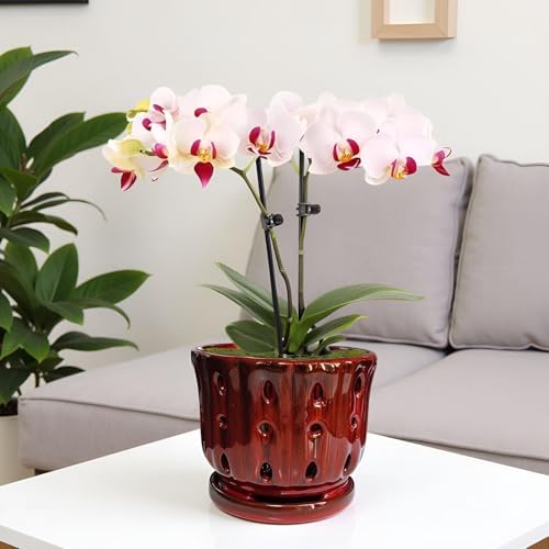 Ceramic Orchid Pot with Drainage Hole 6'' Orchid Planter (Red)