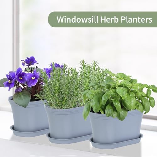 Oliz 6pk Windowsill Planters, Grey Plastic w/Drain Tray - Indoor/Outdoor