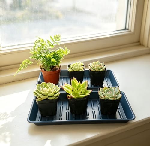 6 Pack Plastic Plant Saucer Rectangular 6 x 11 Inch, Indoor Outdoor Drip Tray for Flower Pot, Windowsill, Black